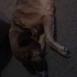 Meet your Posher, Rick